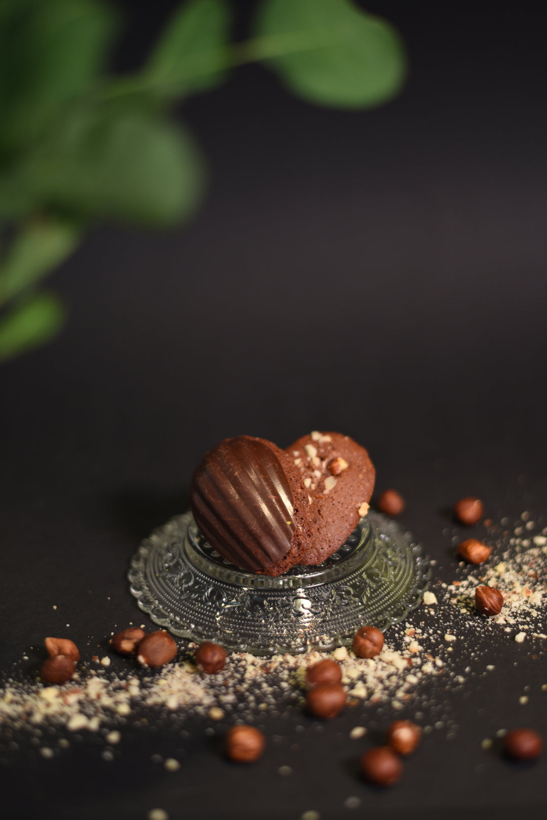Schoko - Praliné Madeleine